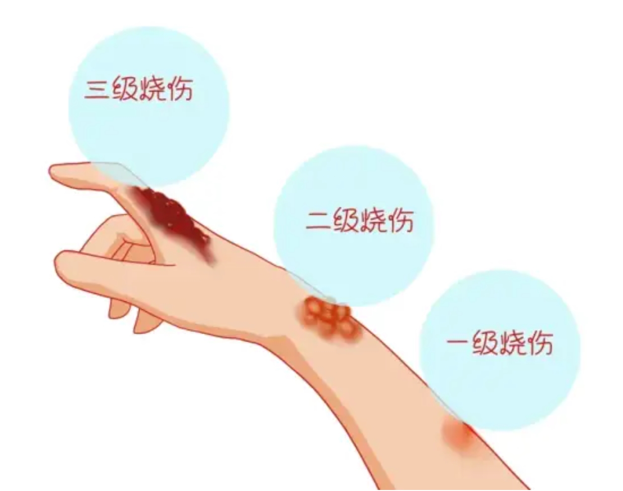 微信圖片_20240704083339.jpg