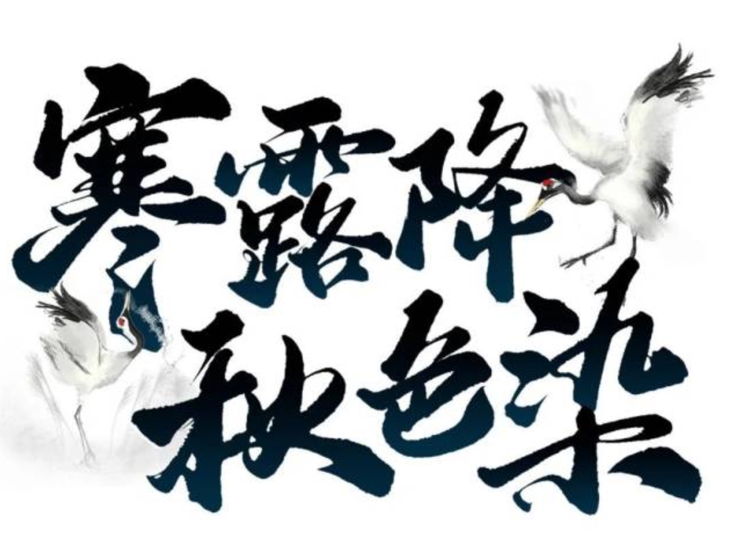 微信圖片_20240704083339.jpg