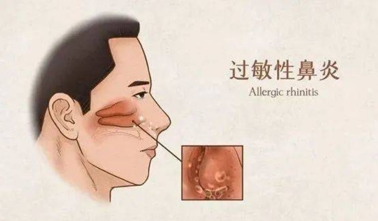 搜狗截圖20250415093224.jpg