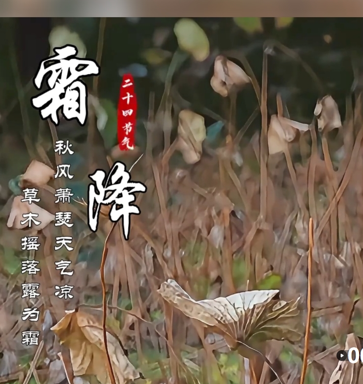 微信圖片_20240704083339.jpg
