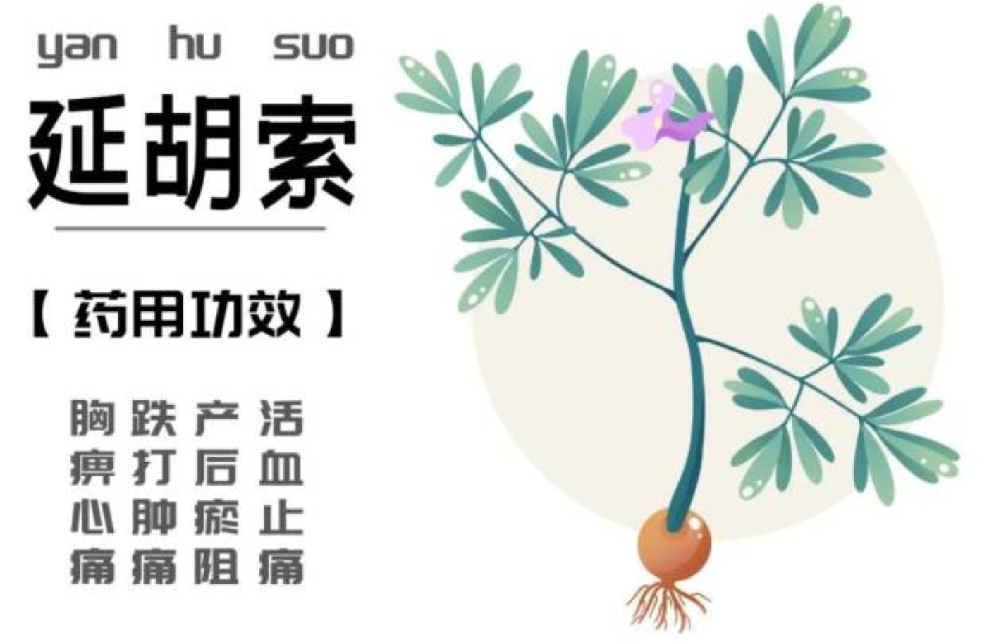 搜狗截圖20250311161812.png